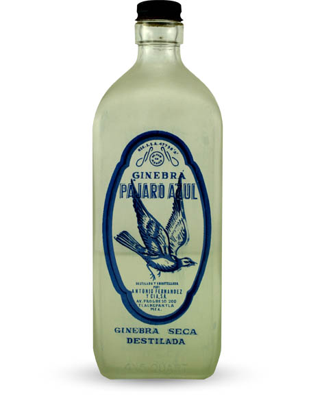 Pajaro Azul Ginebra